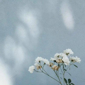 静心减压音乐（八音盒）