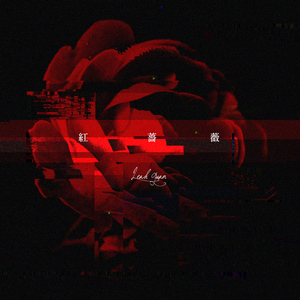 红蔷薇（Cover 王宝与正午阳光）