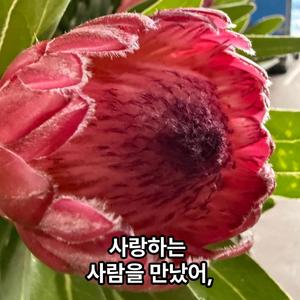 사랑하는 사람을 만났어.
