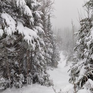 Narnia