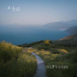 你总要学会往前走 (Cover 任夏)