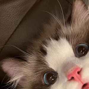 我快要忘记你了