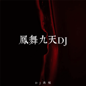 凤舞九天DJ (2024)