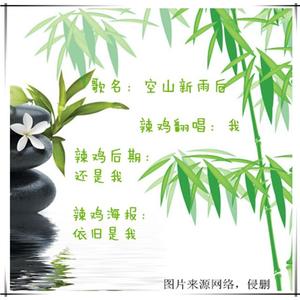 空山新雨后成品