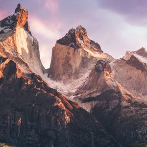 《阳台苔藓的声息之旅》