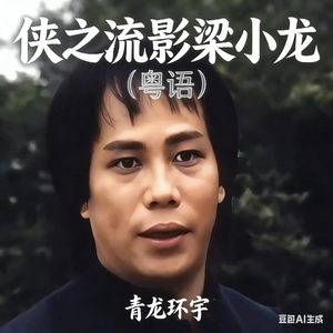 侠之流影梁小龙（粤语）