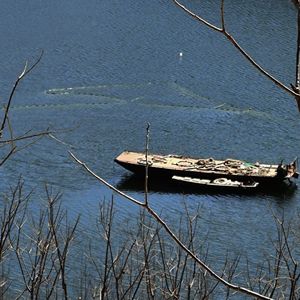 洛浦公园一切顺利