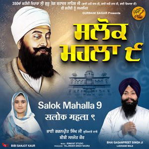 Salok Mahalla 9