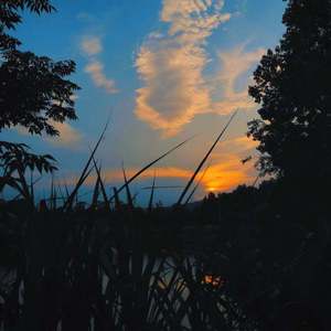 这世界那么多人