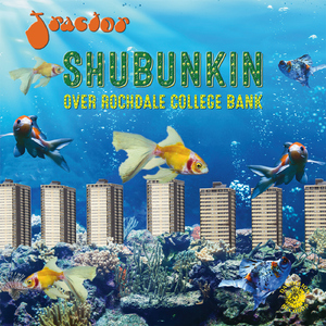Shubunkin