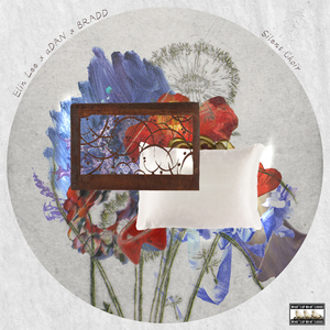 Silent Choir (feat. BRADD & aDAN)