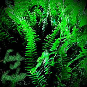 2010 (Bonus Demo)