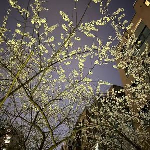 Jazz Hiphop Chill Type Beat