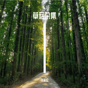 风景（feat缪淦云）