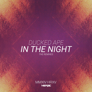 In The Night (Shimmer) (SpeedySound Remix)