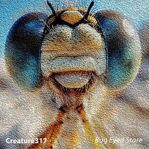 Bug Eyed Stare