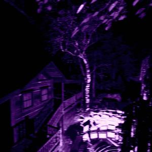 silent pain (slowed)