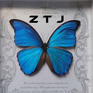 张不说-My Butterfly