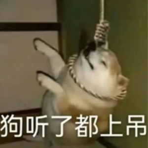 TA的一生
