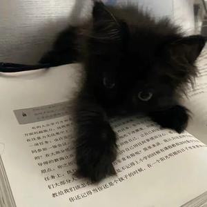 暗恋过结局呢（Remix）（翻自 新街口组合）