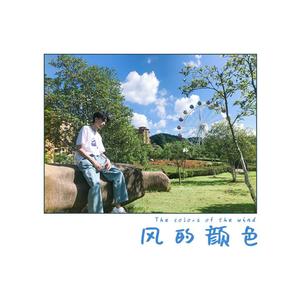 风的颜色