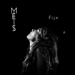 Fijn