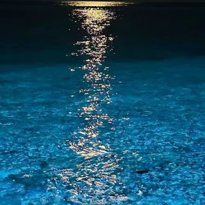 还记得那年夏天