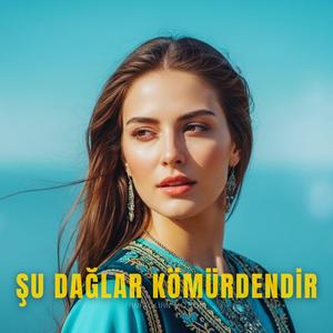 Şu Dağlar Kömürdendir
