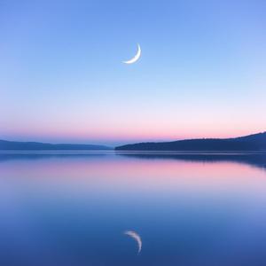 Quiet Acceptance
