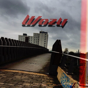 Wozu