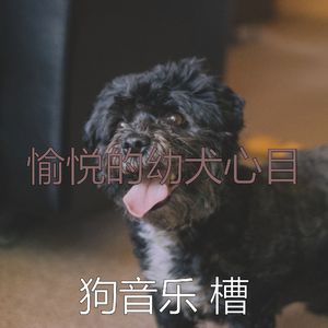 微妙的睡狗心情