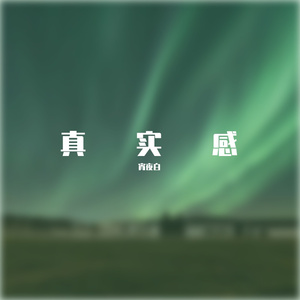 真实感（伴奏）