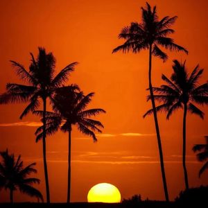 [FREE] Reggeaton TYPE BEAT "NONA"