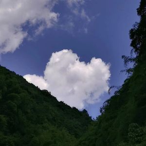 白日梦想家（prod.Arcane Beats）