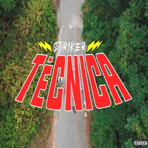 Técnica