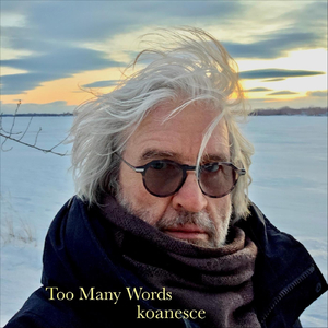 Too Many Words