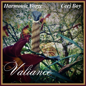 Valiance