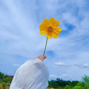 我撕裂我的身体 (纯音钢琴曲)