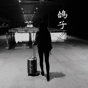 鸽子（The Past Beloved）