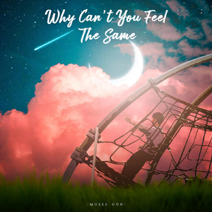 Why Can't You Feel The Same