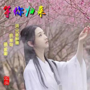 等你归来 - 紫蘅