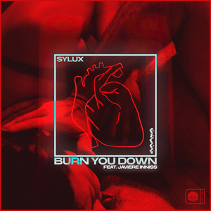 Burn You Down