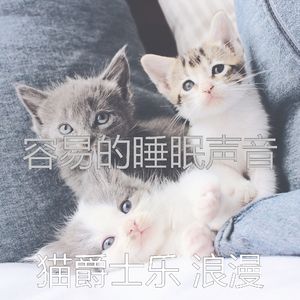 抚慰的小猫回忆