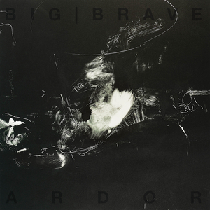 Borer