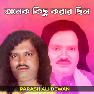 অনেক কিছু করার ছিল