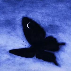 空空（怎么好像前一秒钟还在自由放空）