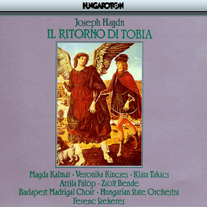 Il ritorno di Tobia (the Return of Tobias), Hob. XXI:1: Pt. II: Recitative. Che fulmine improvviso [Tobia, Anna]