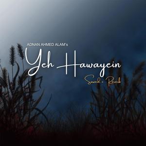 Yeh Hawayein