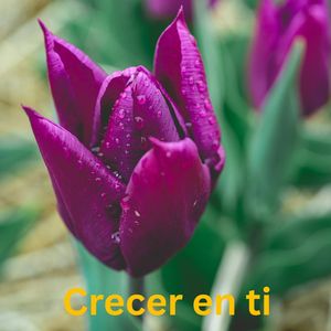 Crecer en Ti
