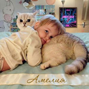 Амелия (house)